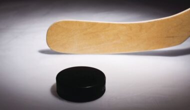 Hockey area stat leaders for Dec. 22 – News-Herald