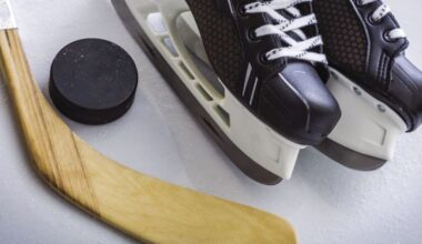 Hockey area stat leaders for Dec. 29 – News-Herald