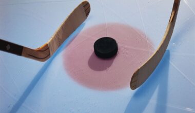 Hockey area stat leaders for Dec. 15 – News-Herald