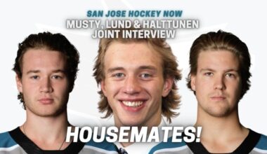 How Do Musty, Lund & Halttunen Make Sharks? Housemates Also Talk Living Together (+)