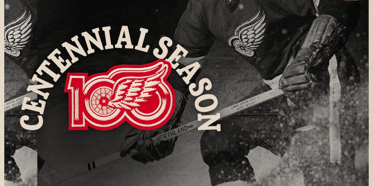 Detroit Red Wings Games on WILX 10.2 & 29.2 MeTV Lansing