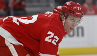 St. Louis Blues Recall Matt Luff