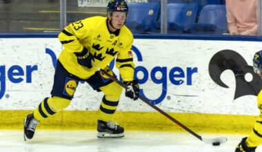 St. Louis Blues Recall Otto Stenberg