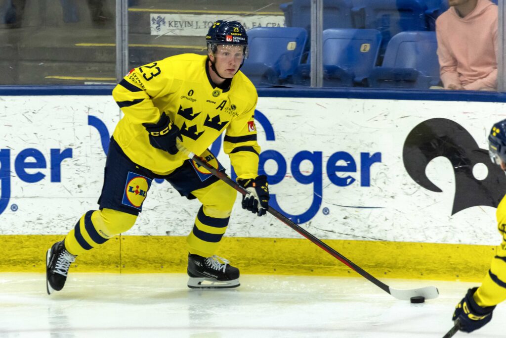 St. Louis Blues Recall Otto Stenberg