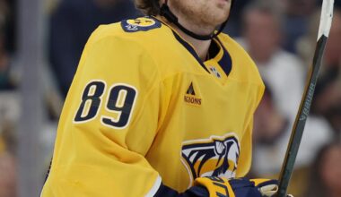 Predators place Wiesblatt, Barron on injured reserve