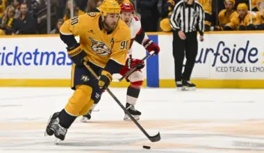Wild, Avalanche are trade matches for Predators' $4.5 million star image