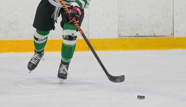 Czaplinksi nets 4 goals as Lacey shuts out Steinert - Boys ice hockey recap