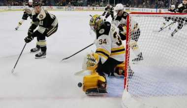 AHL: Zajicek and P-Bruins Dominate Hershey