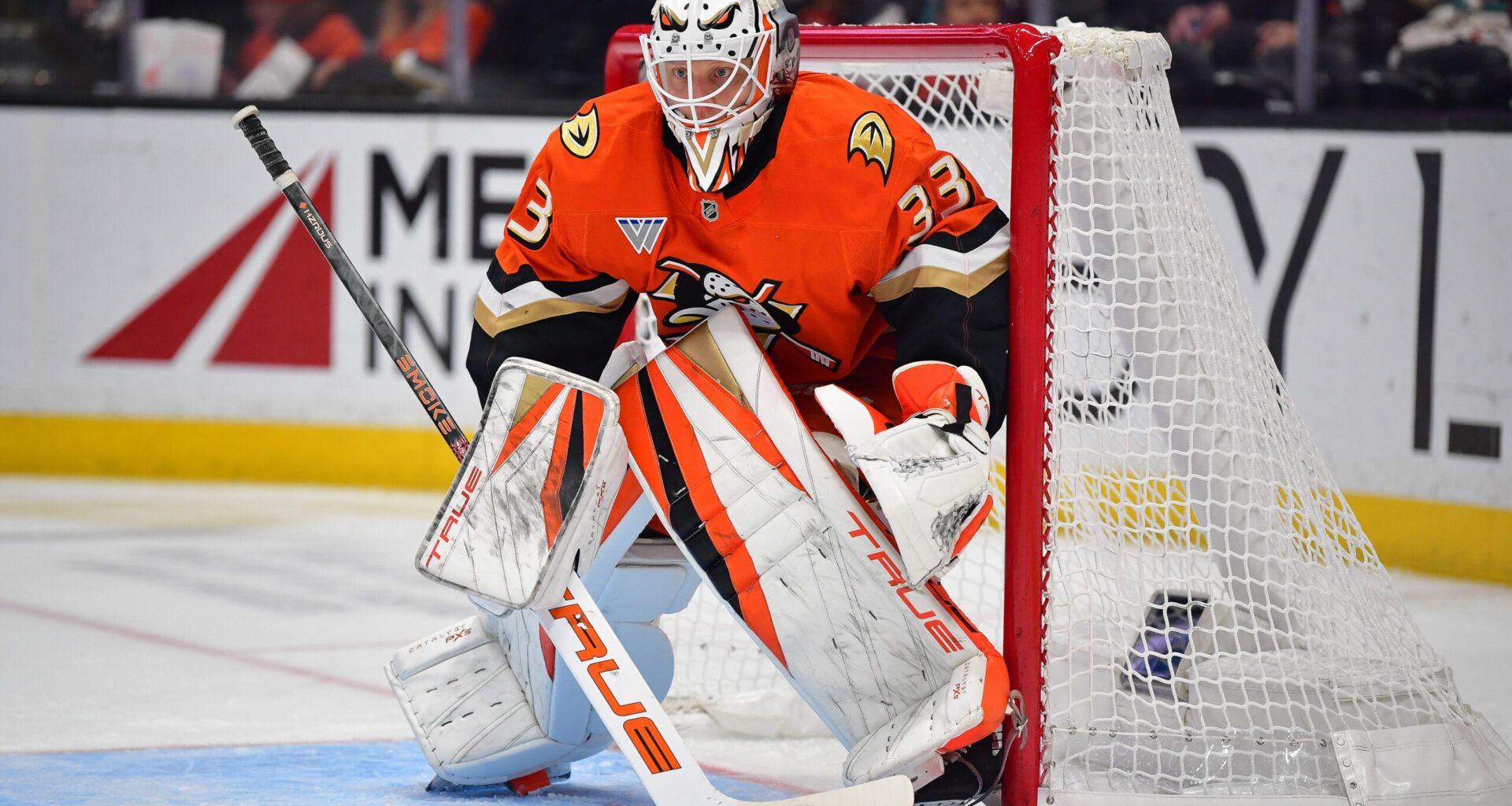 Can Ville Husso Keep the Ducks’ Playoff Push on Track? - The Hockey Writers -