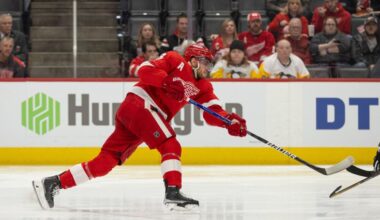 Andrew Copp, Red Wings