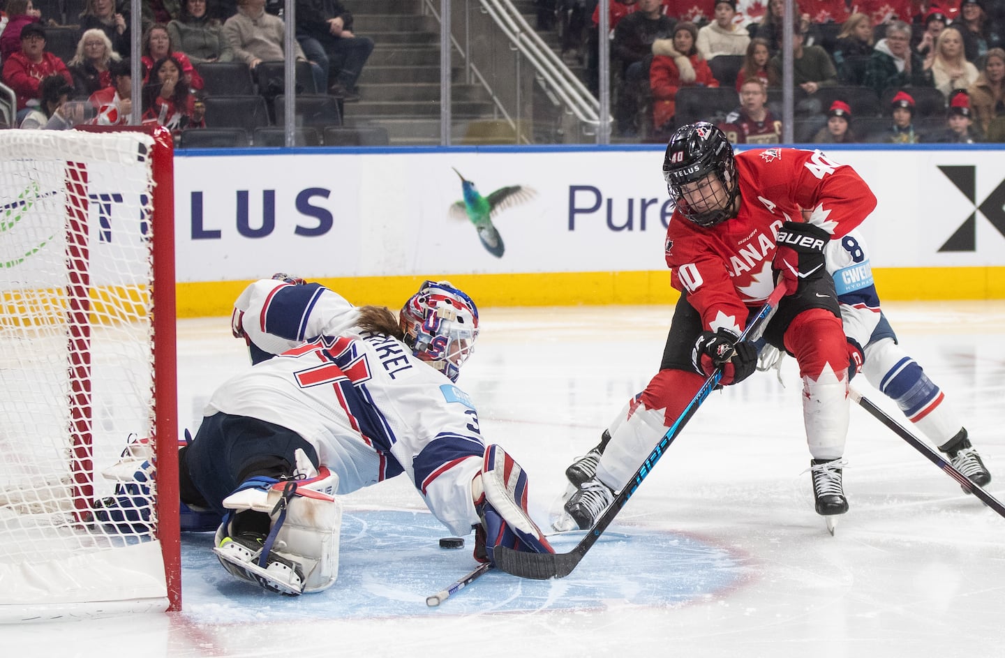 Boston Fleet goalie Aerin Frankel and the United States denied Blayre Turnbull's Team Canada of a single victory in sweeping the Rivalry Series.