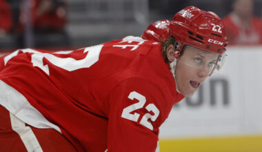 St. Louis Blues recall veteran forward Matt Luff