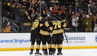 Red Wings vs. Bruins Prediction, Odds, Picks - Dec. 2