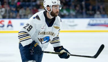 Dube scores first AHL goal in North American return