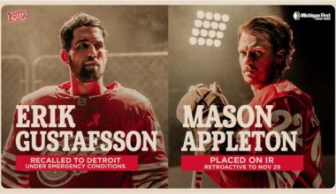 Red Wings recall Erik Gustafsson from Grand Rapids under emergency conditions