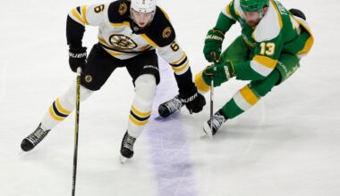 Public Skate: Bruins vs. Wild
