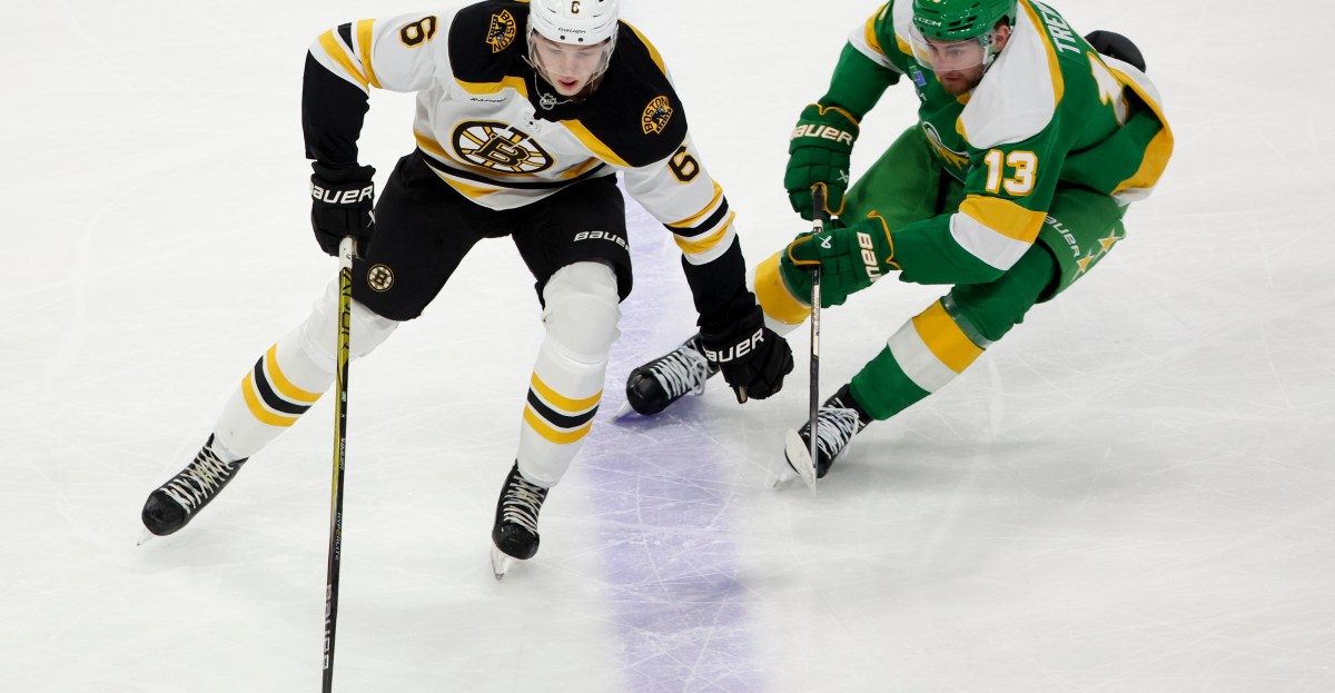 Public Skate: Bruins vs. Wild
