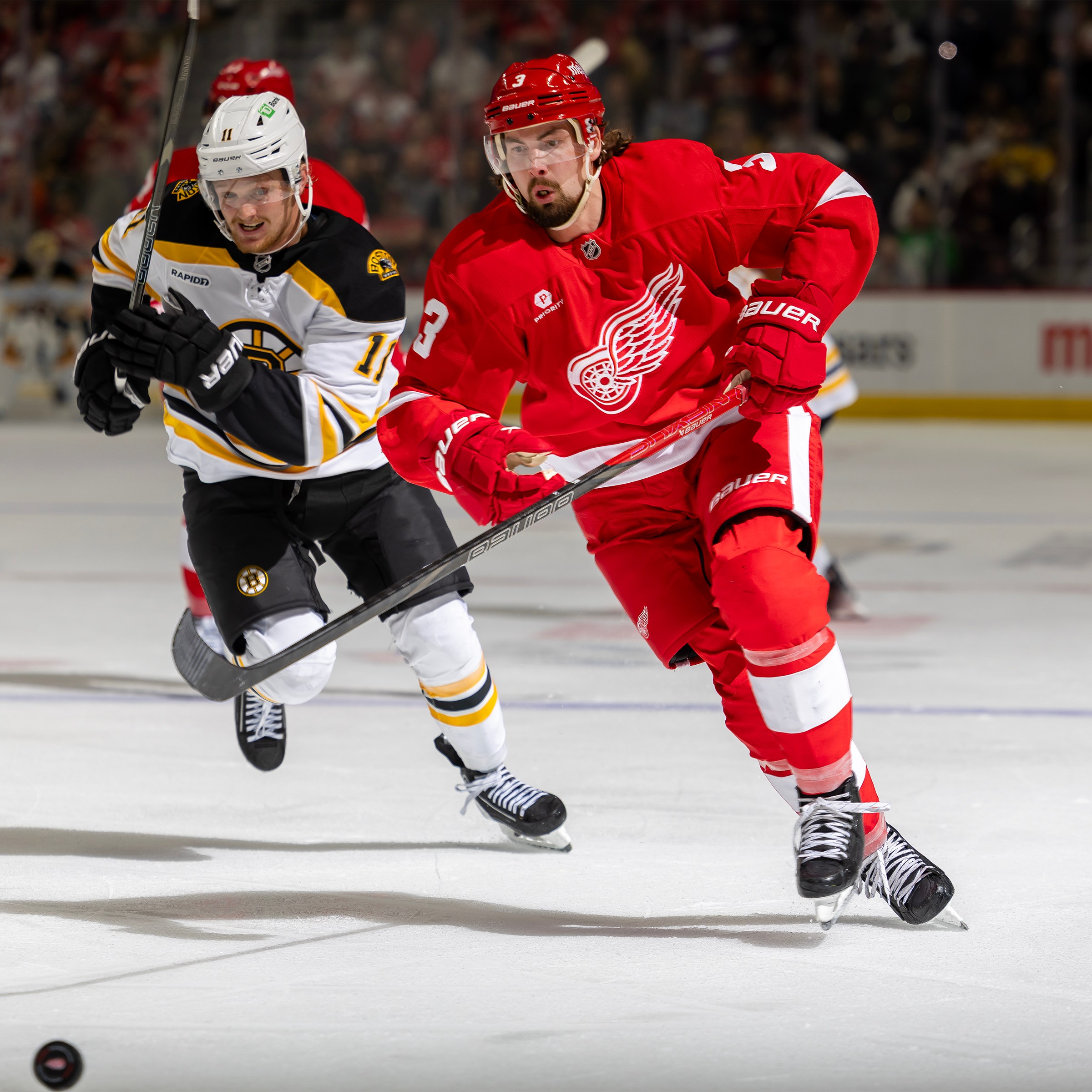 Preview: Bruins welcome Red Wings to TD Garden