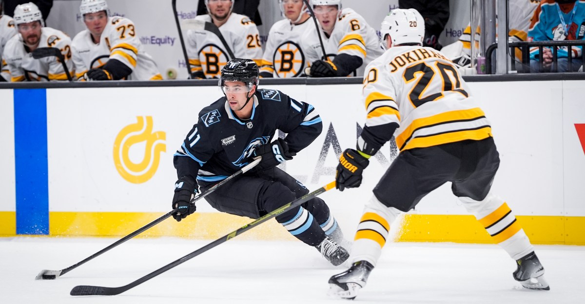 Public Skate: Bruins vs. Mammoth