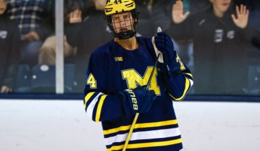 Penguin Prospect Update: early December 2025