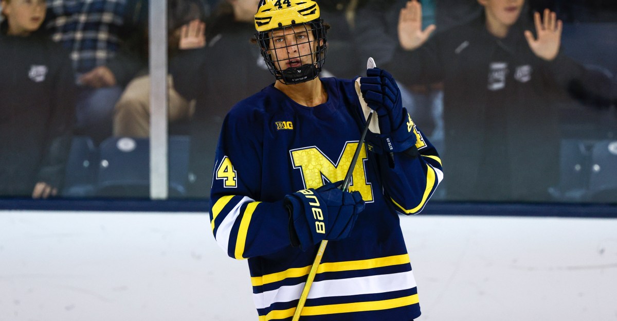 Penguin Prospect Update: early December 2025