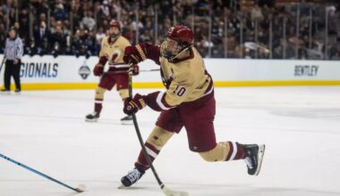 james-hagens-boston-bruins