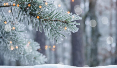 Avalanche danger increases as winter storm comes to Colorado