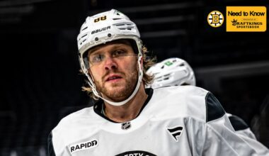 Need to Know: Bruins at Blues 