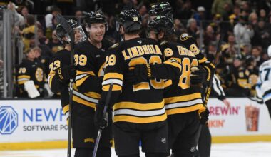 Geekie scores twice in Bruins win against Mammoth