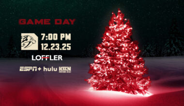 Game Preview: Wild vs. Predators