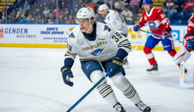 Springfield Thunderbirds | Blues Assign F Matt Luff to T-Birds