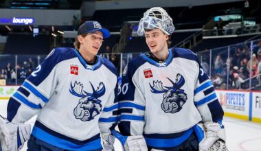 Moose taking opportunity to fly high with Jets | TheAHL.com