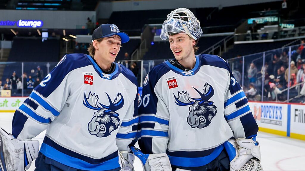Moose taking opportunity to fly high with Jets | TheAHL.com