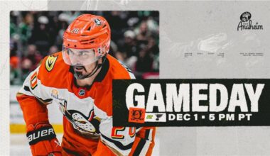 Ducks Look to Bounce Back in St. Louis