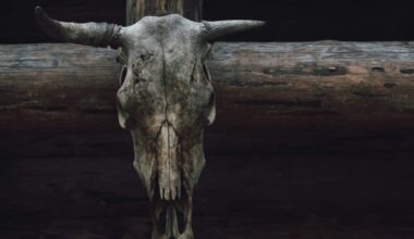 Stars Run Wild in Lopsided Final Meeting as Senators Fall 6-1