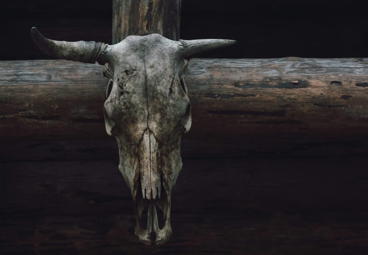 Stars Run Wild in Lopsided Final Meeting as Senators Fall 6-1