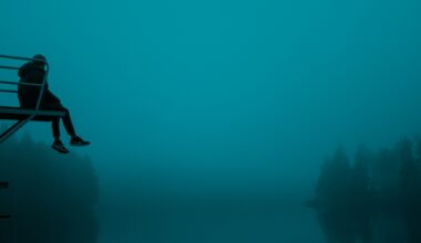 Sens Lose a Frustrating 2-1 Game to St. Louis Blues