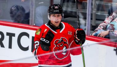 First-half deals reshape AHL rosters | TheAHL.com