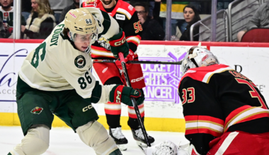 GAME PREVIEW: IOWA WILD VS. GRAND RAPIDS GRIFFINS