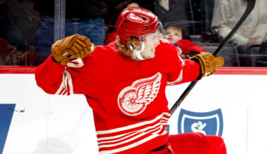 Red Wings' young defensive duo may help team end playoff drought