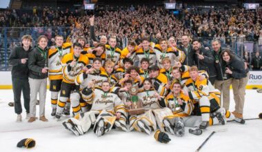 High school hockey season again promises to be a good one