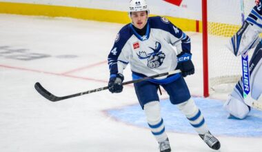 Jets Loan Elias Salomonsson to Moose