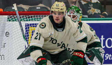MINNESOTA WILD RECALLS DEFENSEMAN DAVID SPACEK FROM IOWA