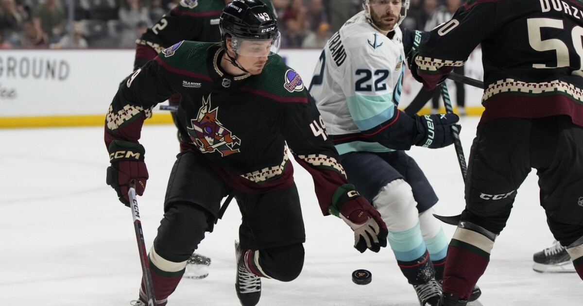 Detroit Red Wings recall winger John Leonard, the AHL's leading goal-scorer