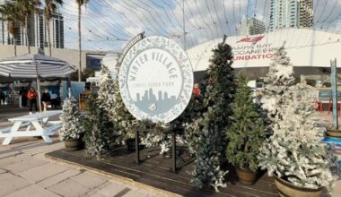 Things to do in Tampa Bay this weekend