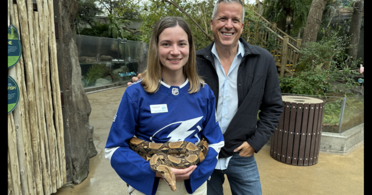 This Bolts backer has a wild job at the Florida Aquarium in downtown Tampa