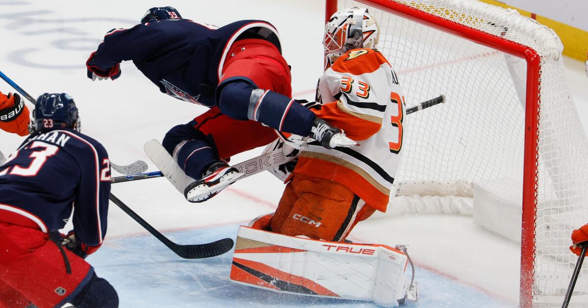 Ducks lose to Blue Jackets in overtime