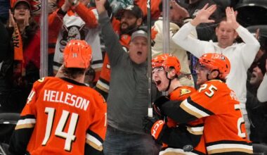 Ducks surge to overtime victory, ending Capitals' winning streak