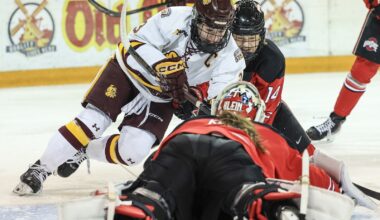 Bulldogs heading to Dublin, Belfast led by Irish-American captain - Duluth News Tribune