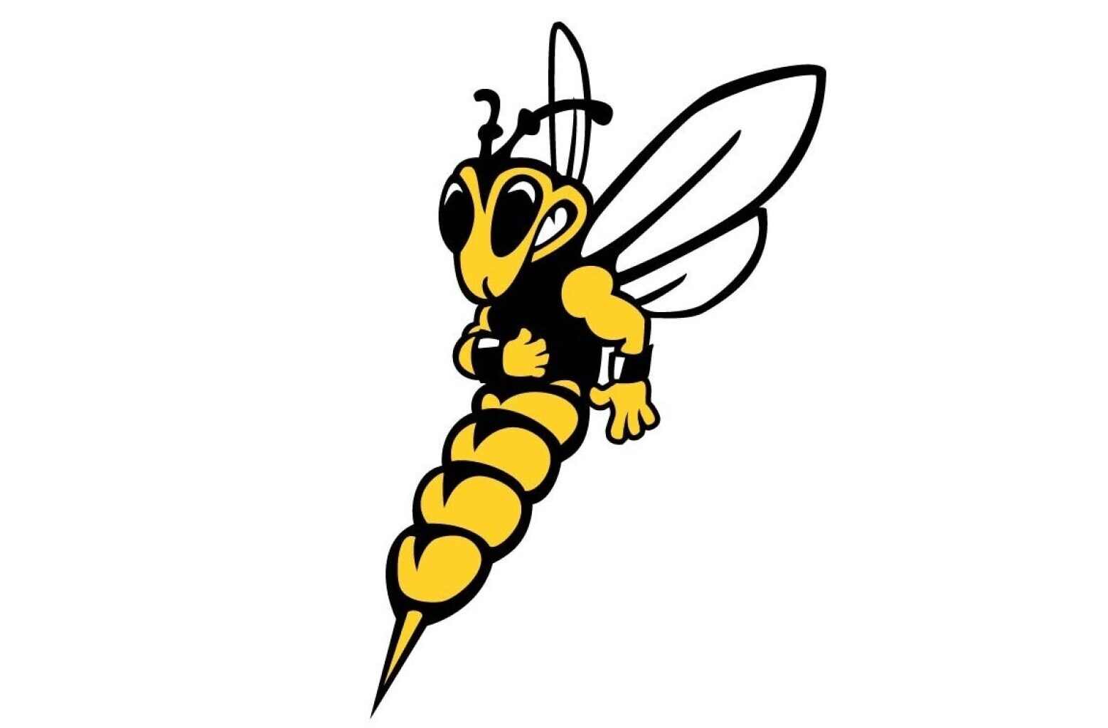 Yellowjacket report: UWS sweeps WIAC hockey newcomers - Duluth News Tribune
